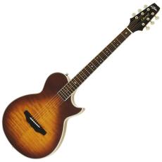 ARIA(アリア)、エレアコの検索結果1～13件【楽器検索｜Jギター】
