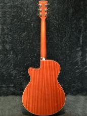 Ibanez PC33MHCE-NMH(Natural Mahogany High Gloss)-【エレアコ】_5