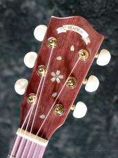 Headway Japan Tune-Up Series HTJ-SAKURA 【オンラインストア限定】_5