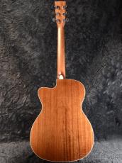 Stafford SF-5C Natural【WEBショップ限定】_3