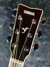 YAMAHA FS-Series FS830 -Natural-【オンラインストア限定】_5