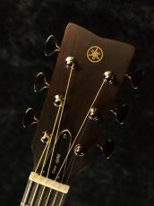 YAMAHA FG Red Rabel Series FGX5 ~Vintage Natural~ 【赤ラベル】【オンラインストア限定】_5
