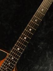 Luna Vista Wolf Tropical Wood A/E 【エレアコ】_5