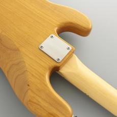 FUJIGEN NPB100MAH -VNT-_6