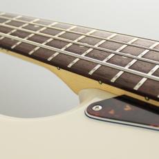 FUJIGEN NJB100RAL-VWH-_6