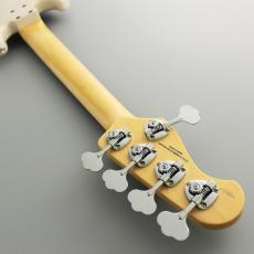 FUJIGEN NJB100RALV-VWH-_7