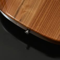 Bacchus Global Series BTE-ASH25 WRS/M Natural 【オールロースト!!】_5