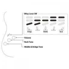 FUJIGEN Neo Classic Series NST100RALL -3TS (3Tone Sunburst)-【オンラインストア限定】_8