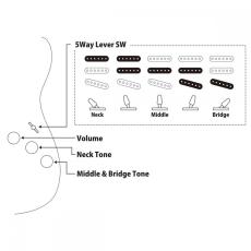 FUJIGEN Neo Classic NST NST100RAL-3TS (3Tone Sunburst)【オンラインストア限定】_9