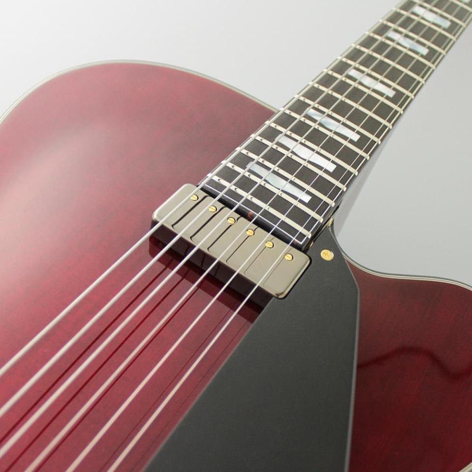 FUJIGEN Masterfield MFA Series MFA-FP/WR Wine Red【フルアコ】 新品