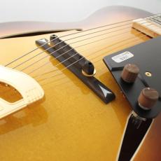 FUJIGEN Masterfield MFA Series MFA-FP/JB Jazz Burst【フルアコ】_4