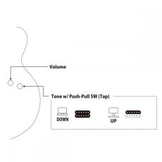 FUJIGEN Masterfield MFA Series MFA-FP/JB Jazz Burst【フルアコ】_8