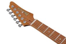 Ibanez AZS2209 -ATQ (Antique Turquoise)-【オンラインストア限定】【2023年夏頃発売予定】_6