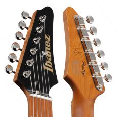 Ibanez FLATV1 -BK(Black)-_5