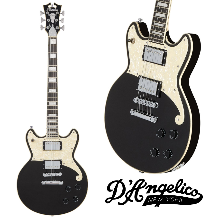 D'Angelico Premier Brighton -Black Flake-【オンラインストア限定