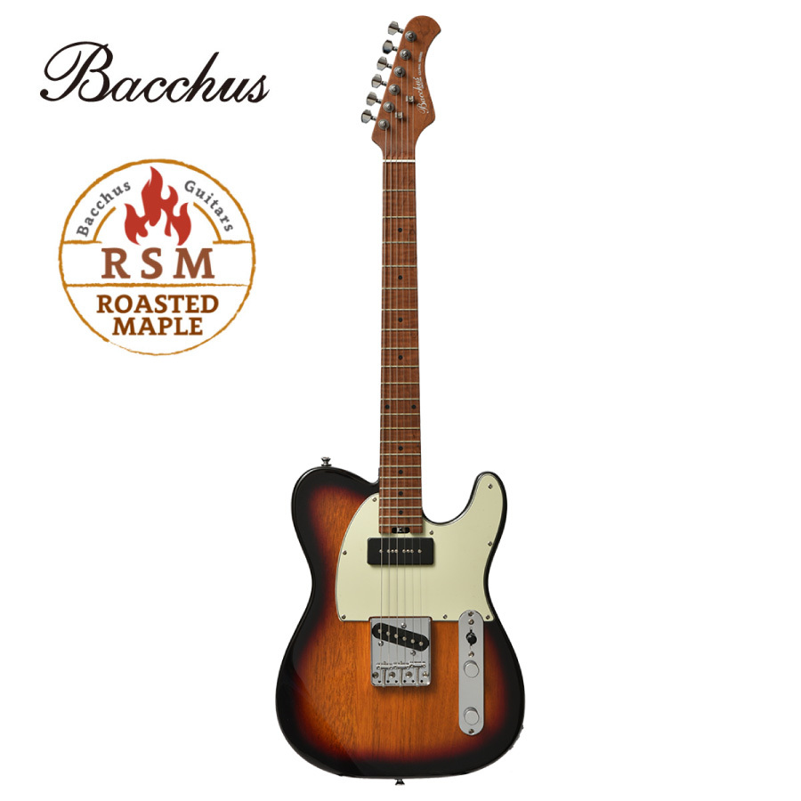 Bacchus　TACTICS-STD/RSM 3TS 　テレキャス Bacchus TACTICS-STD/RSM 3TS | Japanguitar-handmade.com