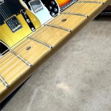 Fender American Standard Stratocaster_6
