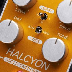 ORIGIN EFFECTS Halcyon Gold Overdrive 《オーバードライブ》【オンラインストア限定】_4
