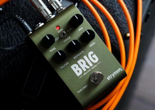 strymon BRIG《オーガニックエコー/クラシックディレイ》【WEBショップ限定】