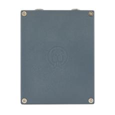 WALRUS AUDIO Fable Granular Soundscape Generator《ディレイ》【オンラインストア限定】_5