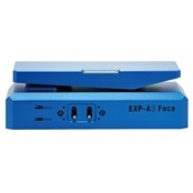 PAINT AUDIO EXP-AB Face 新品 1232984 PAINT AUDIO【楽器検索｜Jギター】