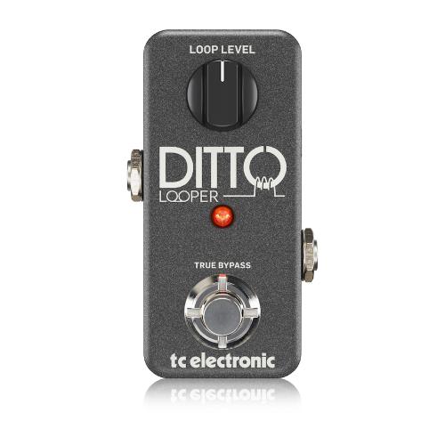 tc electronic DITTO LOOPER《ルーパー》【オンラインストア限定】