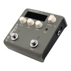 L.R.Baggs Voiceprint DI《アコースティックギター用D.I.》【オンラインストア限定】_2