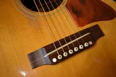 Gibson J-50【VINTAGE/1969年】_11