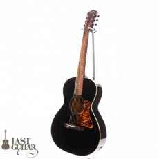 Voyager Guitars VL12