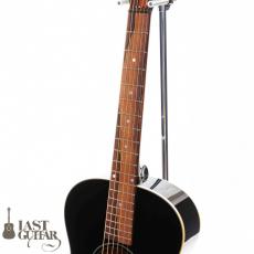 Voyager Guitars VL12_5