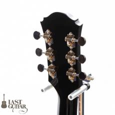 Voyager Guitars VL12_7