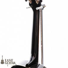 Voyager Guitars VL12_8