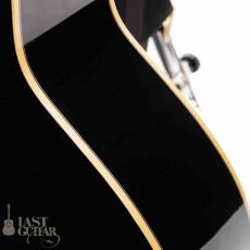 Voyager Guitars VL12_10