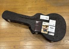 Taylor 618e_9
