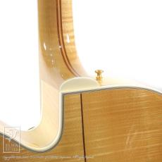 Guild Artist Award_13