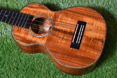 Kamaka HF-2D2I Concert DELUXE 'Ipuka【USED/2017年】