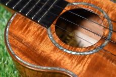 Kamaka HF-2D2I Concert DELUXE 'Ipuka【USED/2017年】_10