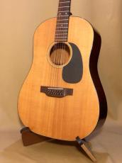 Martin D12-20_2