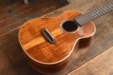 aNueNue Concert aNN-AAA2 _2