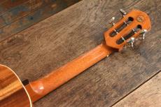 aNueNue Concert aNN-AAA2 _5