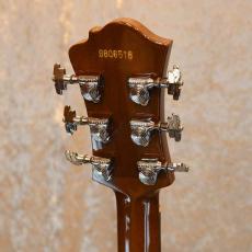 Greco BE-1000_4
