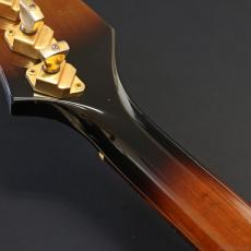 Gibson Firebird Bicentennial Edition 1976 (1977)_9