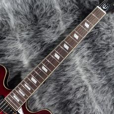 Epiphone Riviera "Frequensator Tailpiece" Sparkling Burgundy_3