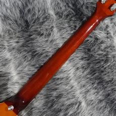Epiphone Riviera "Frequensator Tailpiece" Royal Tan_7