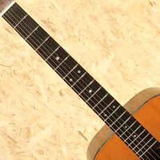 Martin D-21 Jacaranda 1963_6