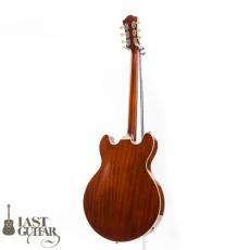 Eastman T185MX GB_11
