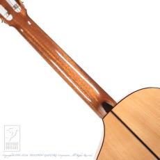 ASTURIAS Solo Classico Vivo Blanca_6