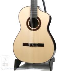 ASTURIAS(アストリアス)の検索結果1～50件【楽器検索｜Jギター】