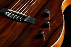 Cordoba Stage Ziricote -Natural-【ローン金利0%!!】【オンラインストア限定】_5