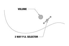 Ibanez K7YANG -KORN Head New Signature 7 String Model【ローン金利0%】【オンラインストア限定】_2